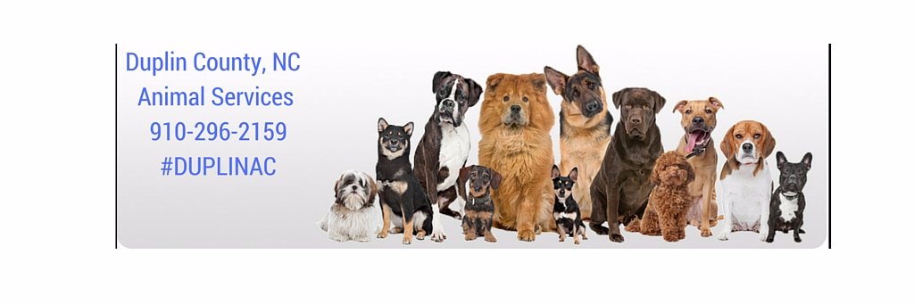 FriendsOfDuplin's profile banner image