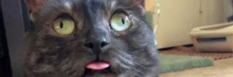 Александр Орел banner