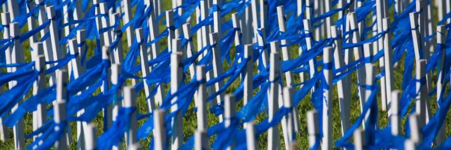 Child Welfare Hub banner