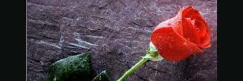 diny_esty's profile banner image