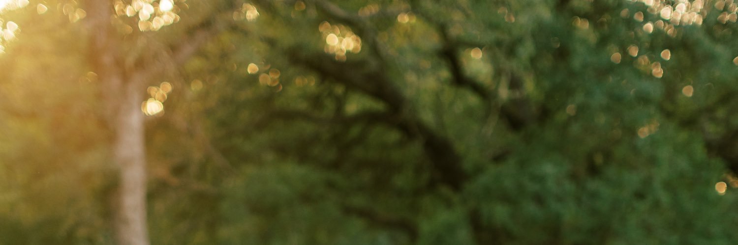 linlo112's profile banner image