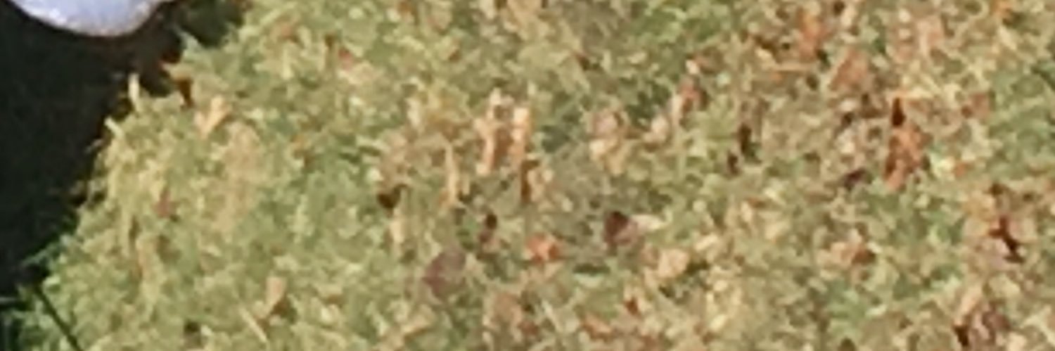 Kevin S. Burke banner