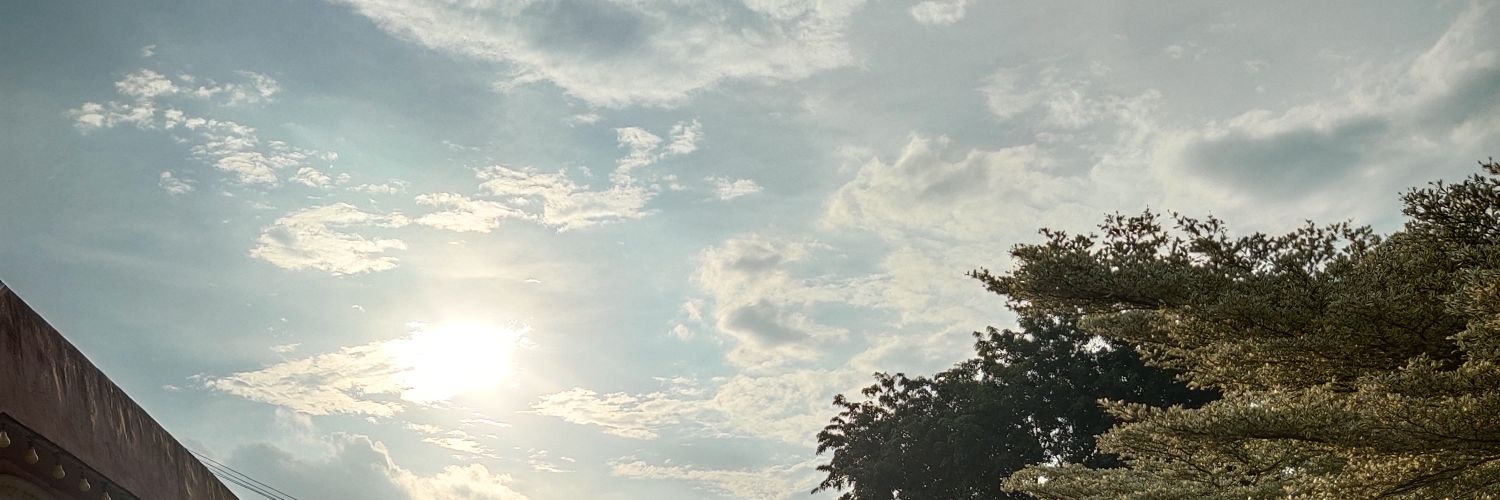 esza__'s profile banner image