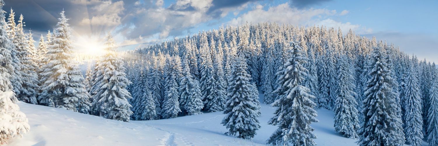 Alexandre lévesque banner