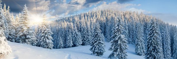 AlexChaudron Profile Banner