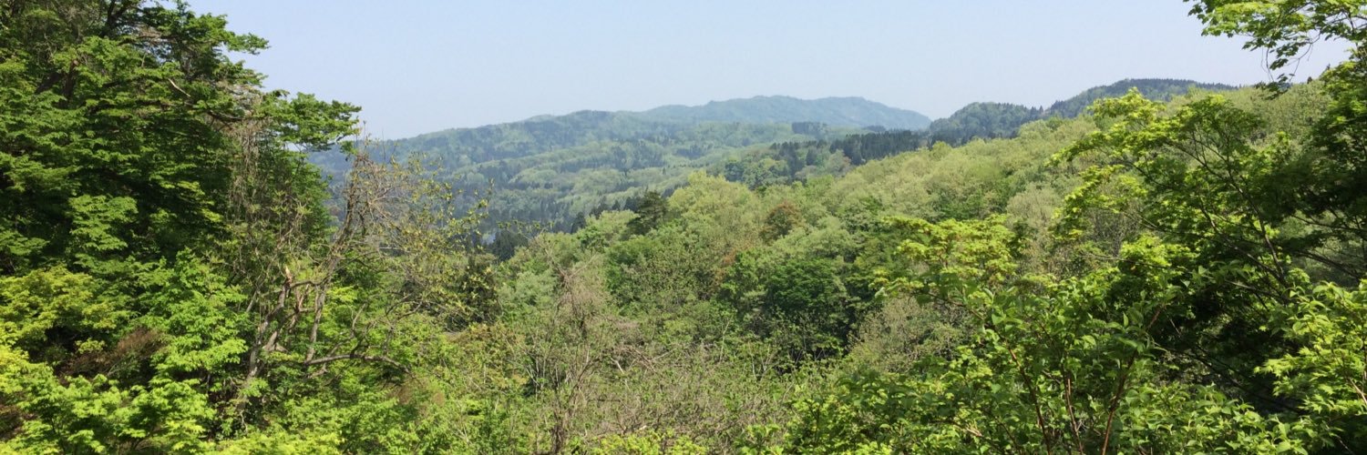 tokuemon's profile banner image