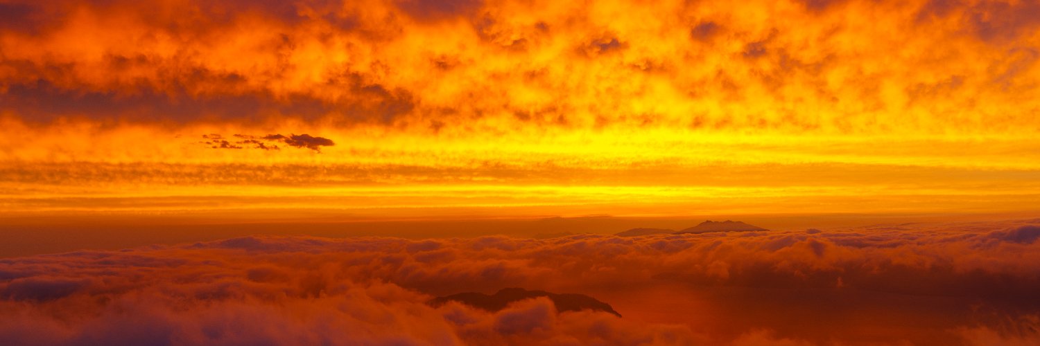 ClubParakeet's profile banner image