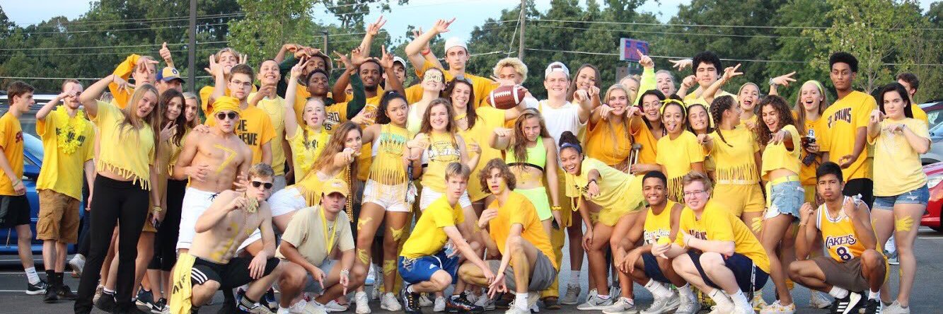 wshs2019's profile banner image