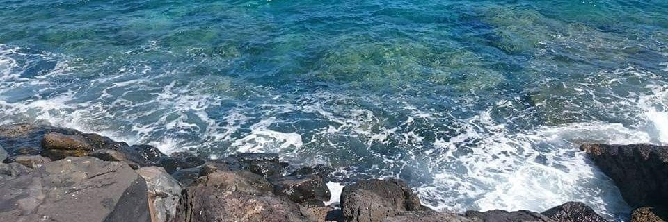 crip the planet! 🏴♿ banner