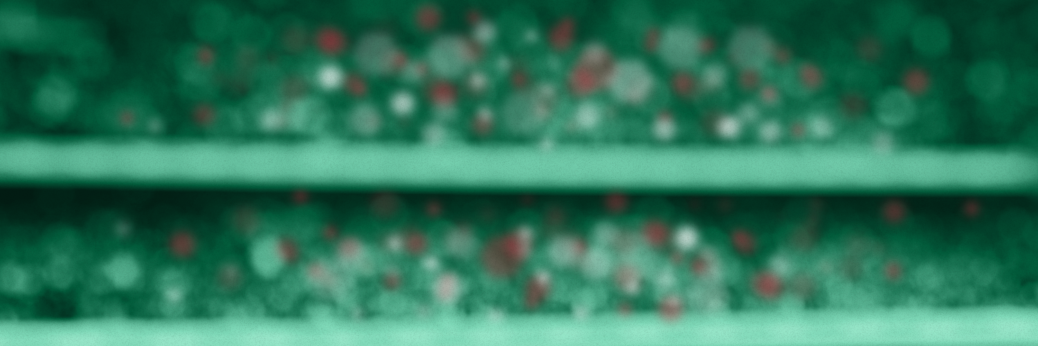 anesamrani's profile banner image