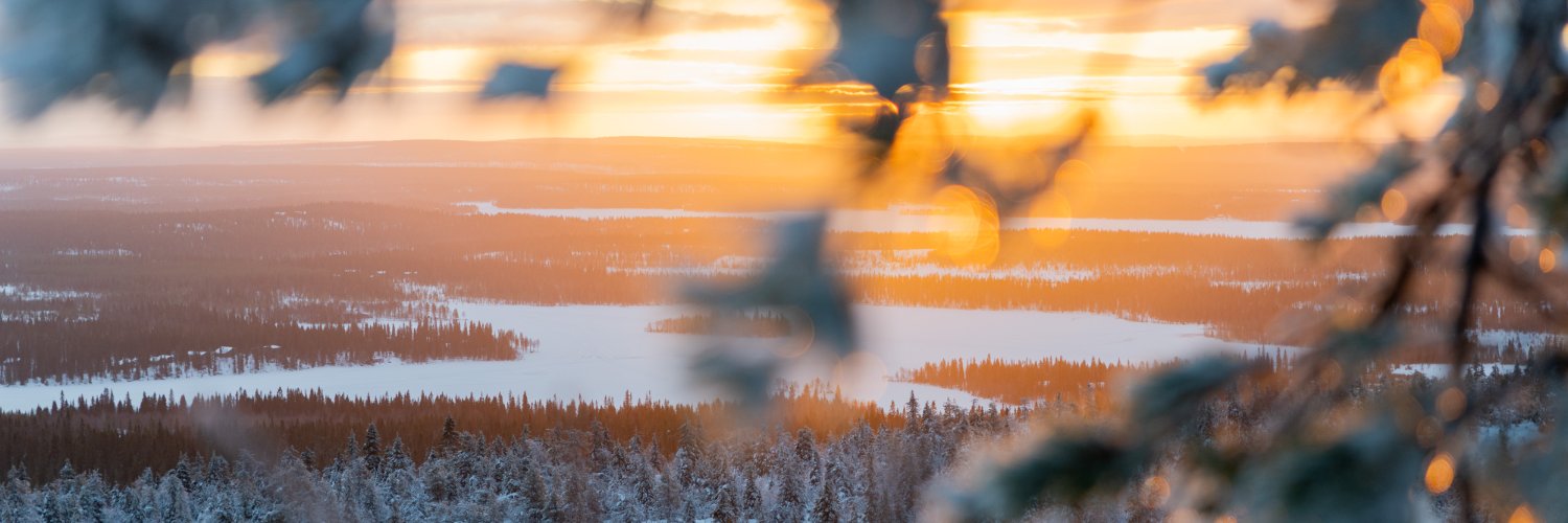 Finland in Palestine banner