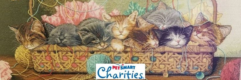 Itsie Bitsie Rescue banner