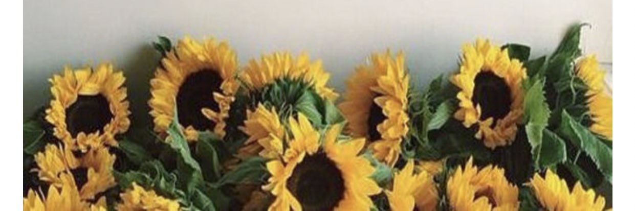 Victoria💗 banner
