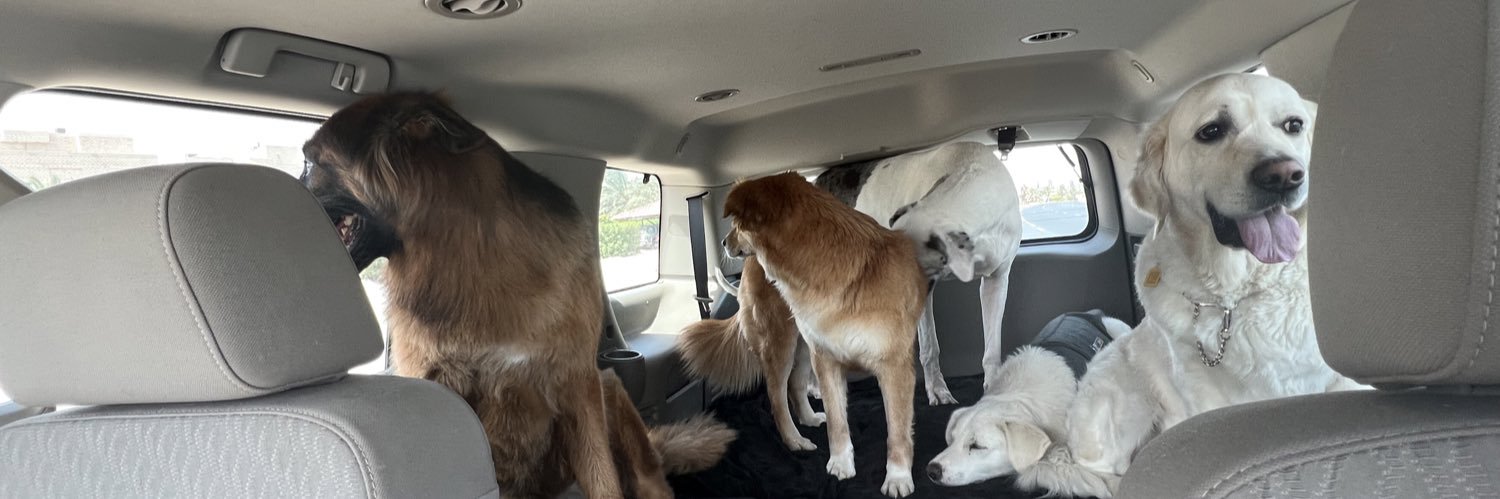 شيخة السعدون banner