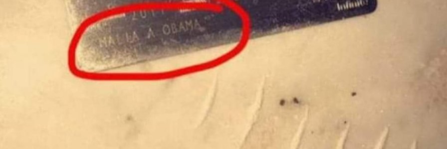 Malia's Cocaine Covered Credit Card banner