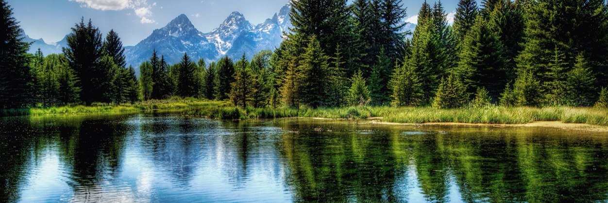 CP44Official's profile banner image