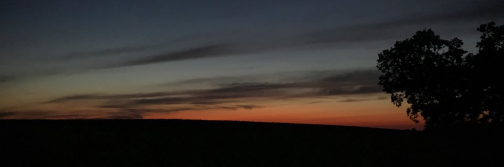 Grith_Jorgensen's profile banner image
