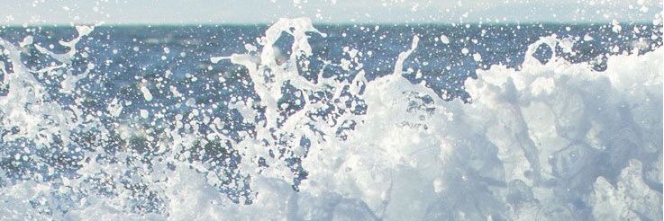 🐹 banner