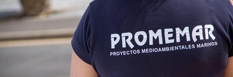 Proyectos Medioambientales Marinos banner