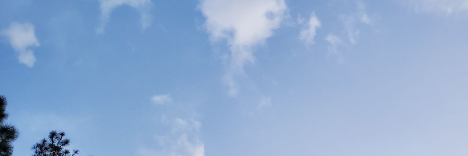 _Notmajestic's profile banner image