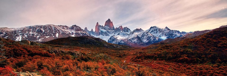 ͏'s banner