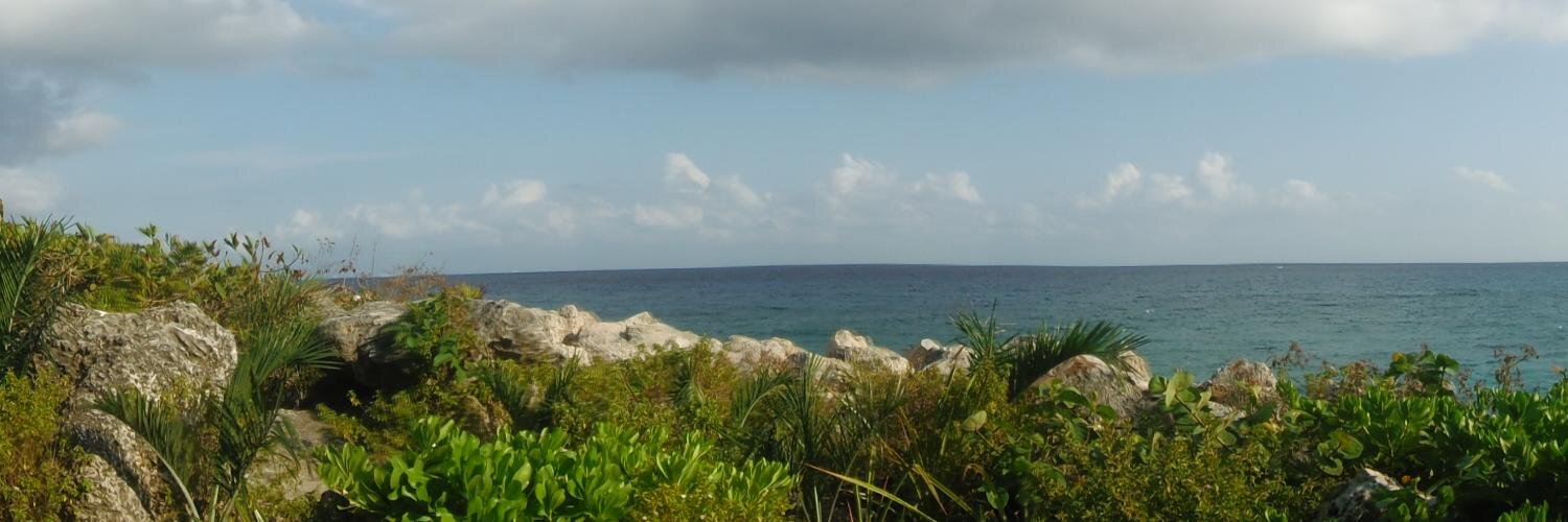 williammorera's profile banner image