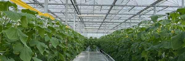 LeaValleyGrower Profile Banner