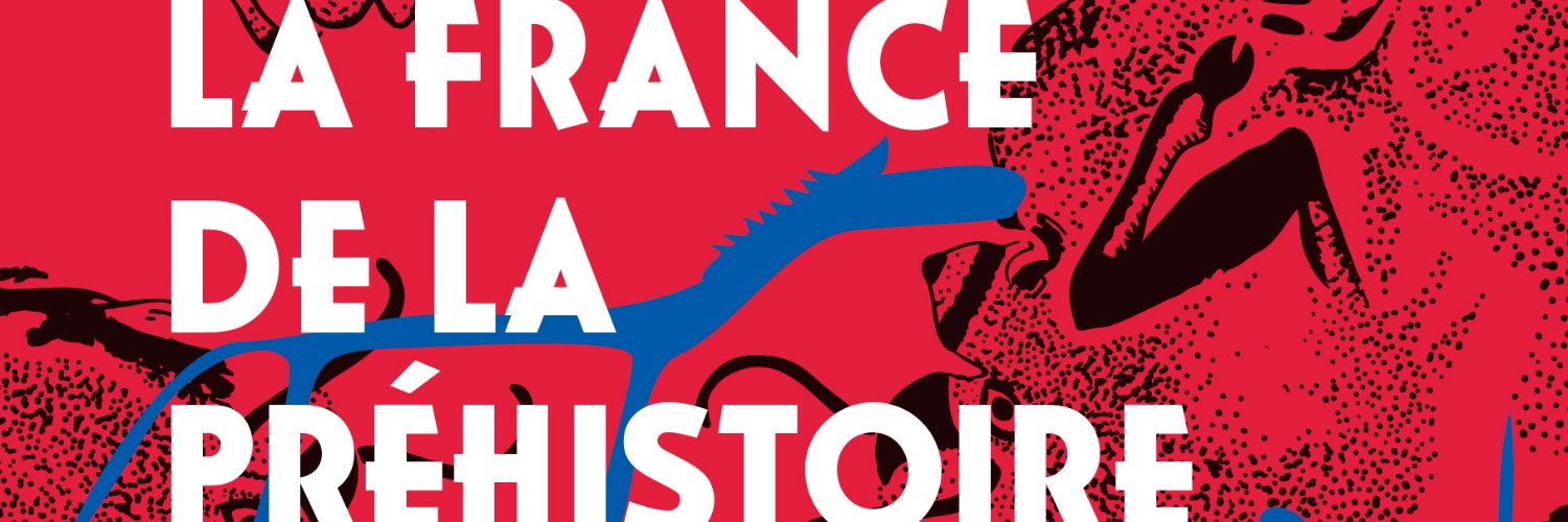 romain pigeaud banner