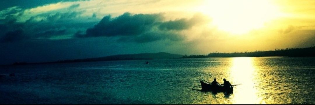 dardarjois's profile banner image