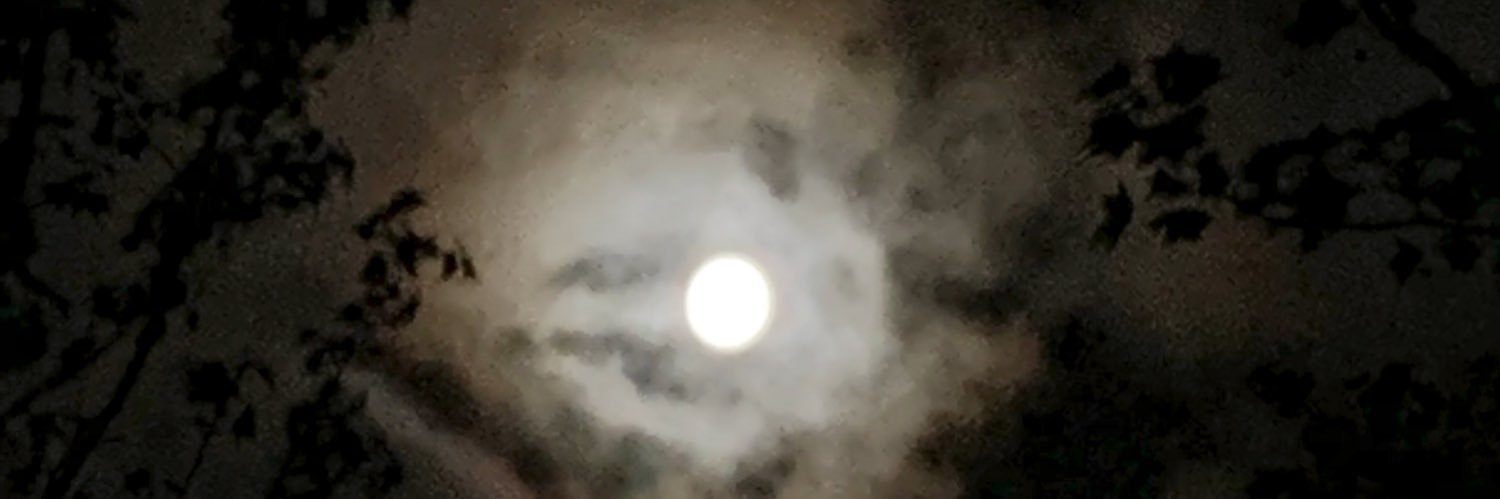 alwayschingando's profile banner image