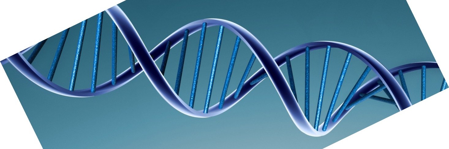 DoubleHelixGirl 🇪🇺🌻 banner