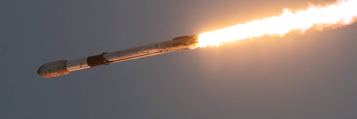 mr musk x banner