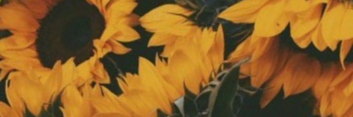 meigmeigg's profile banner image