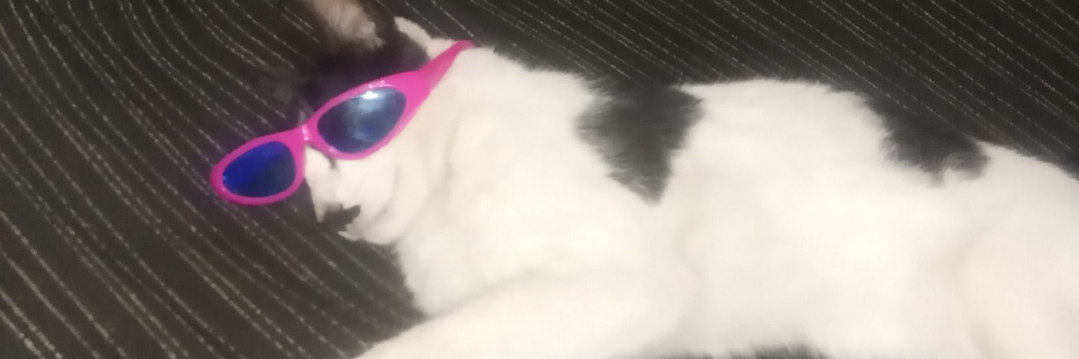 izzochris07's profile banner image