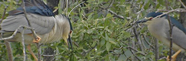 appdelpg Profile Banner