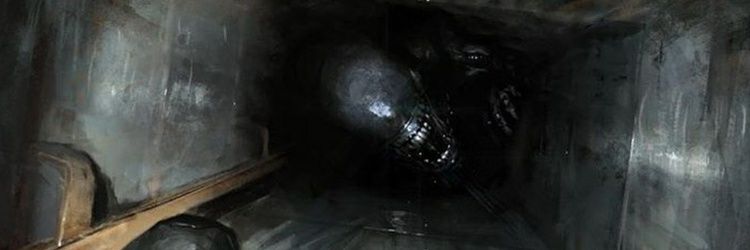 rafaelwonlet's profile banner image