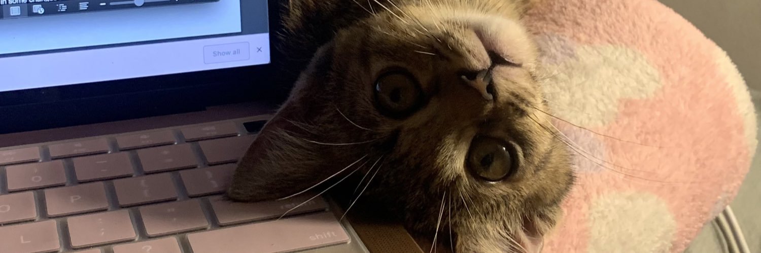 _tiarararaa's profile banner image