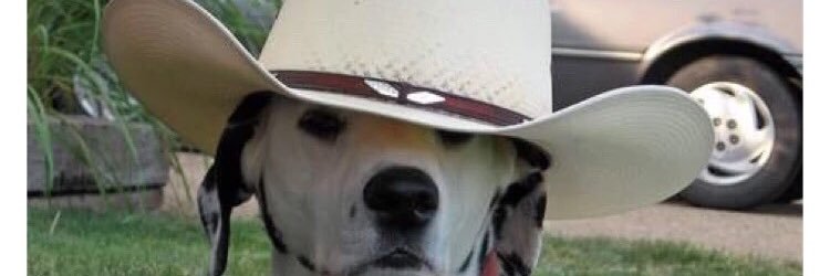 RaheemPullover's profile banner image