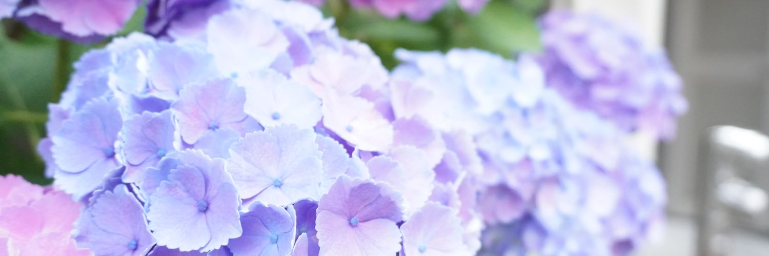 Eringi729's profile banner image