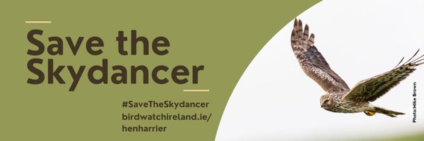 BirdsMatter_ie Profile Banner