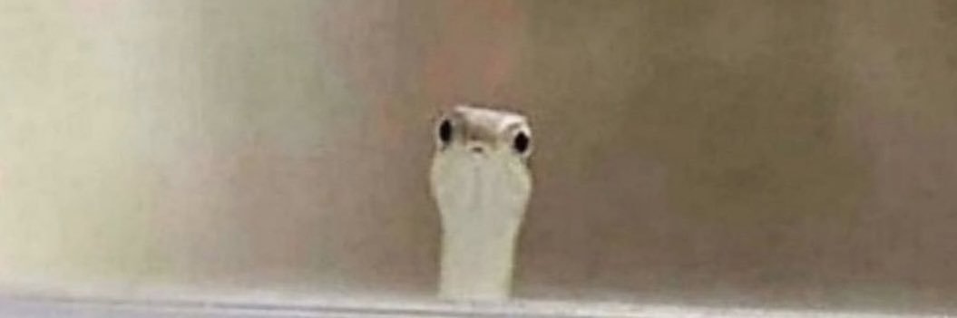 Mum of Dragons banner