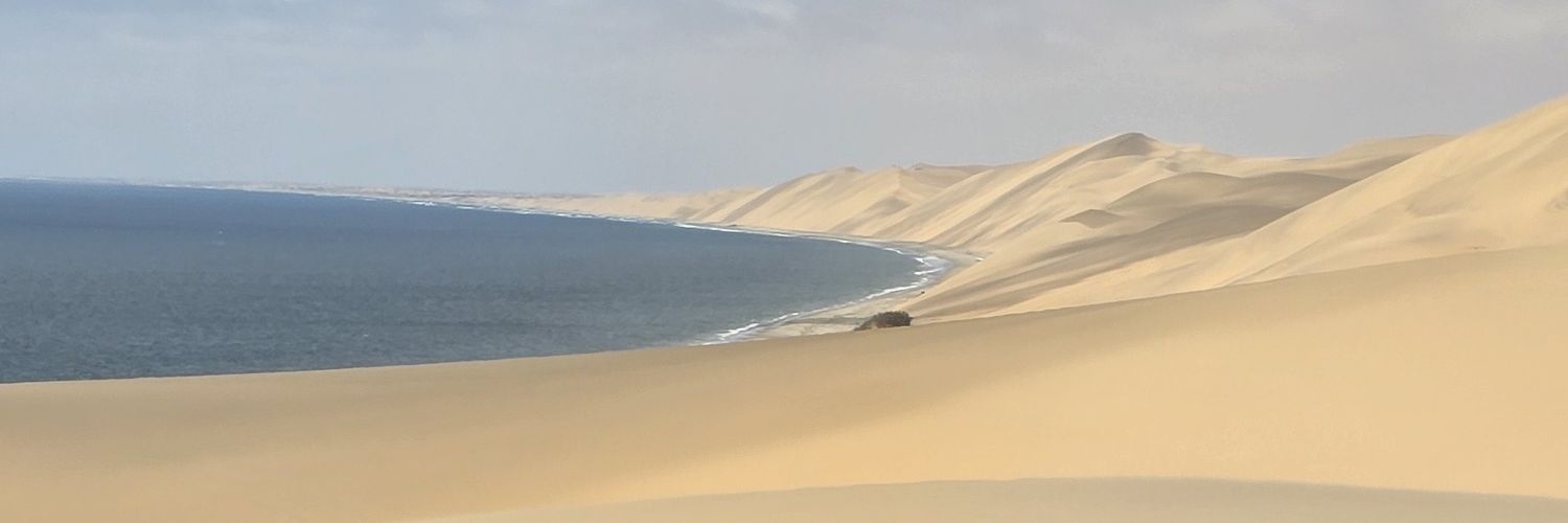 chdochemoyo's profile banner image