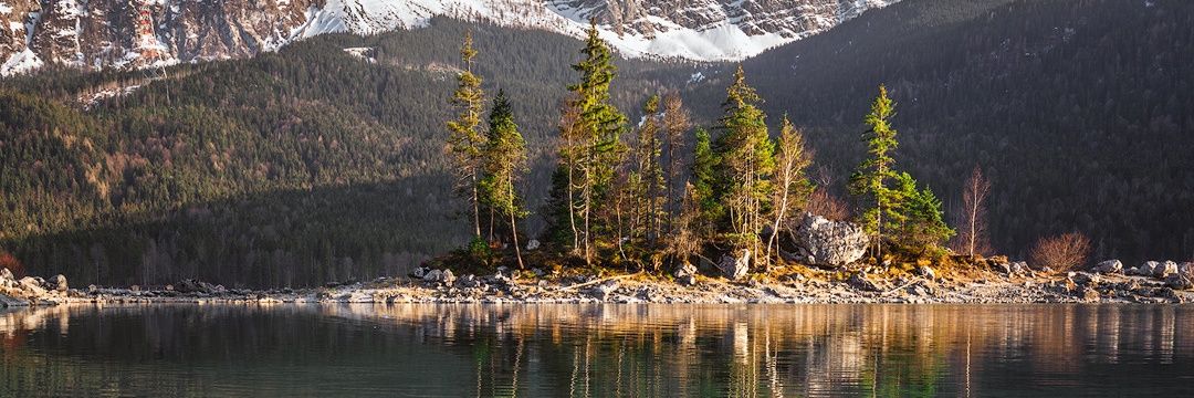 Nico Kaiser 🇪🇺📸 banner