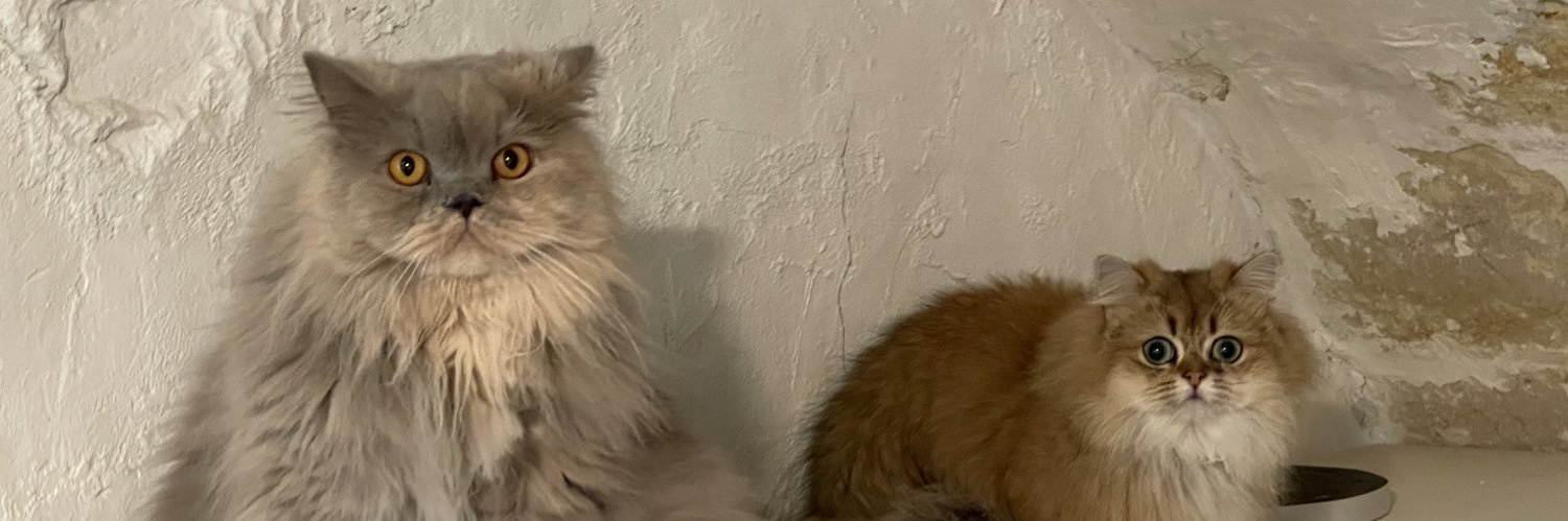 Flautre Michael banner