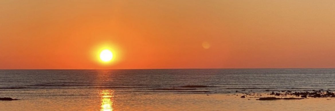 Lauss banner