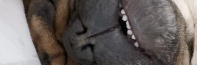 charmarsha's profile banner image
