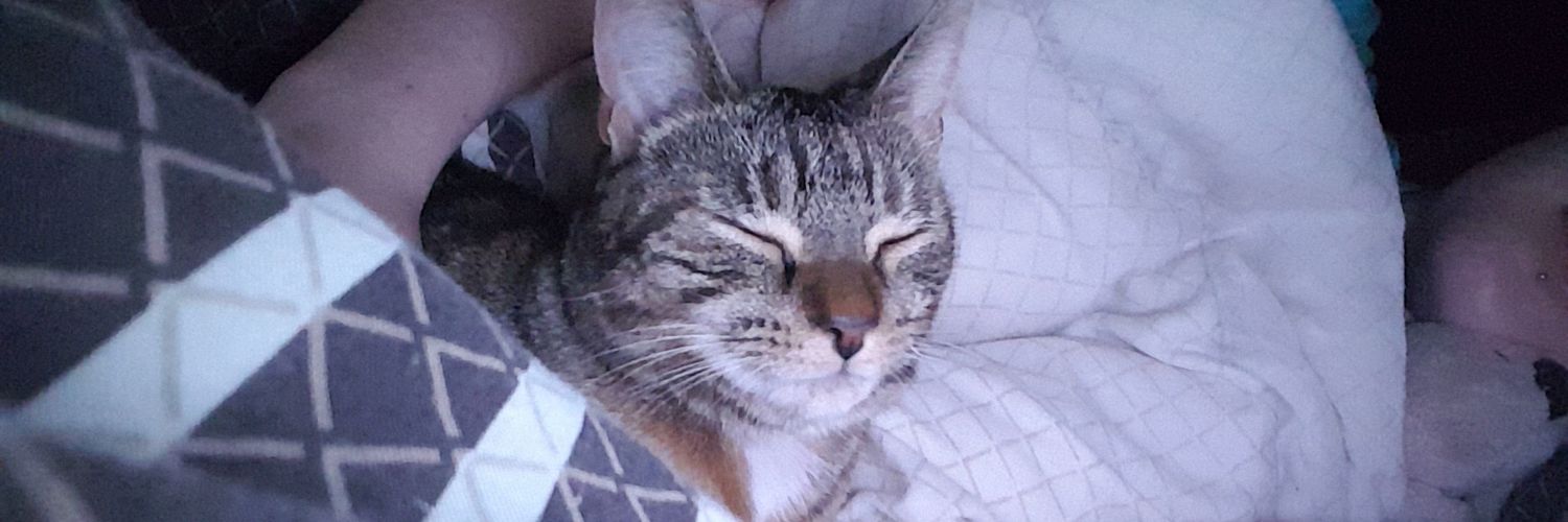 amybkeegan's profile banner image