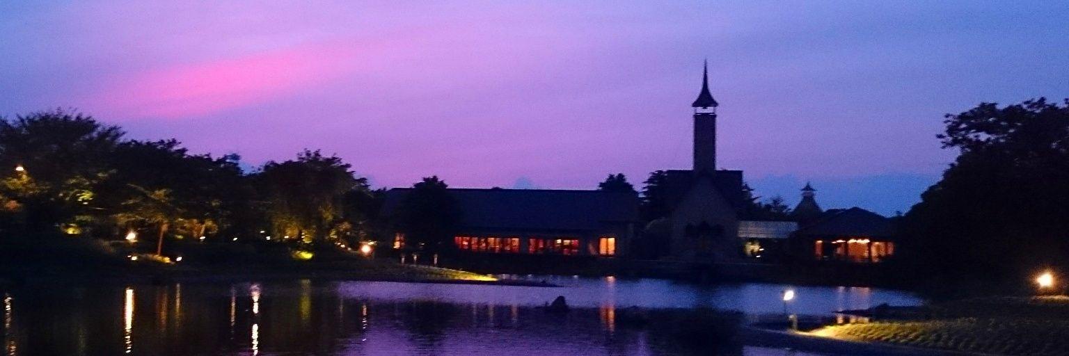 pery39's profile banner image