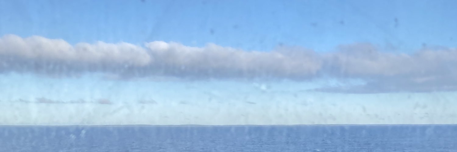 TorvinenAnna's profile banner image