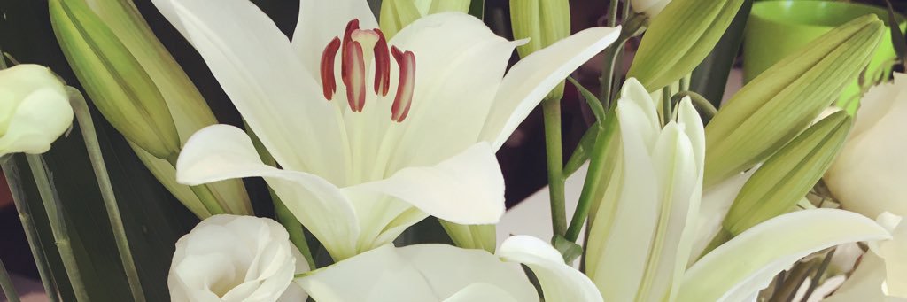 salagoberna's profile banner image